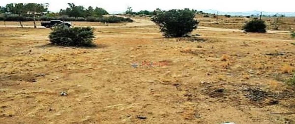 Foto de terreno comercial en venta en belisario dominguez l a m. 24, ojos negros , ojos negros, ensenada, baja california, 26056173 No. 05