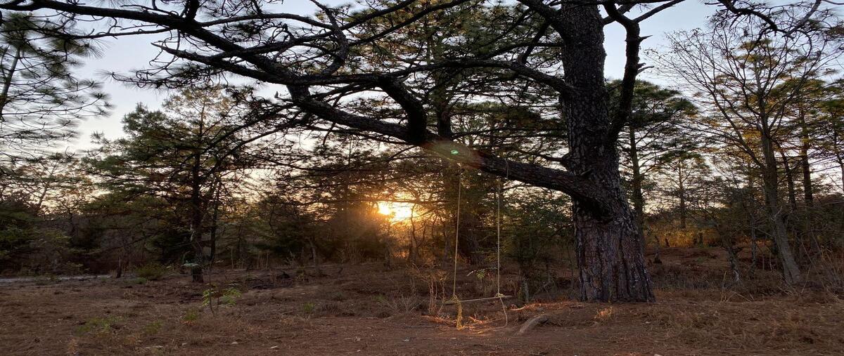 Foto de casa en venta en belisario domínguez , tapalpa, tapalpa, jalisco, 28969825 No. 05