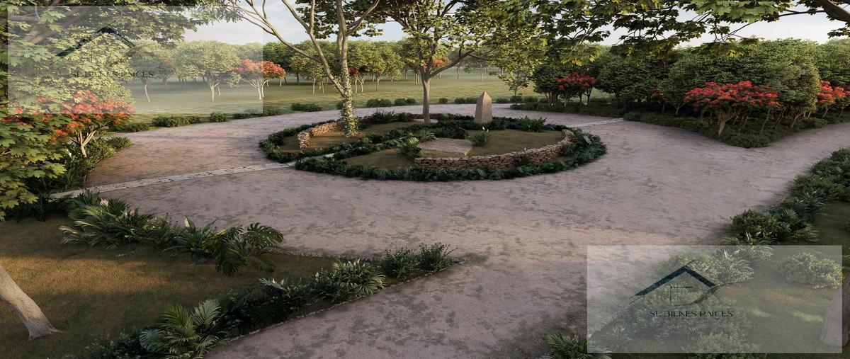 Foto de terreno habitacional en venta en  , bella flor, kinchil, yucatán, 0 No. 03