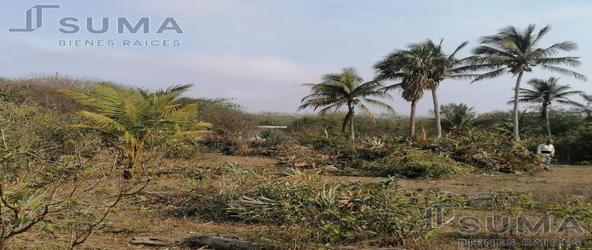 Foto de terreno habitacional en venta en  , bella vista, pueblo viejo, veracruz de ignacio de la llave, 25017910 No. 03