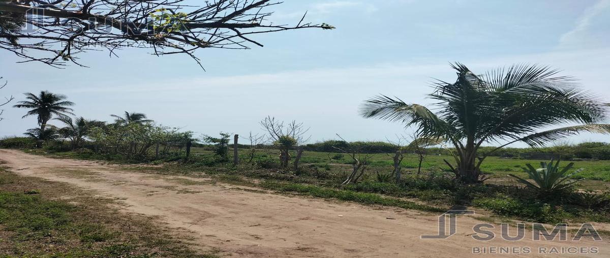 Foto de terreno habitacional en venta en  , bella vista, pueblo viejo, veracruz de ignacio de la llave, 25017910 No. 05