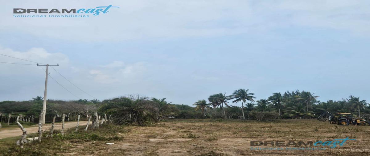 Foto de terreno habitacional en venta en  , bella vista, pueblo viejo, veracruz de ignacio de la llave, 0 No. 04