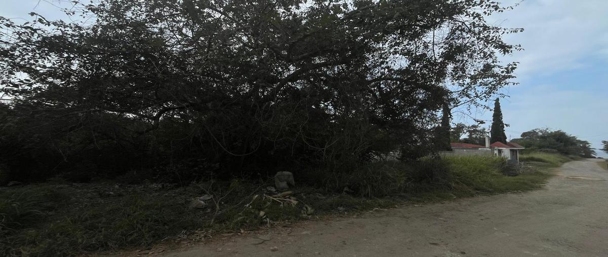 Foto de terreno habitacional en venta en  , bellas artes, pueblo viejo, veracruz de ignacio de la llave, 25250836 No. 03