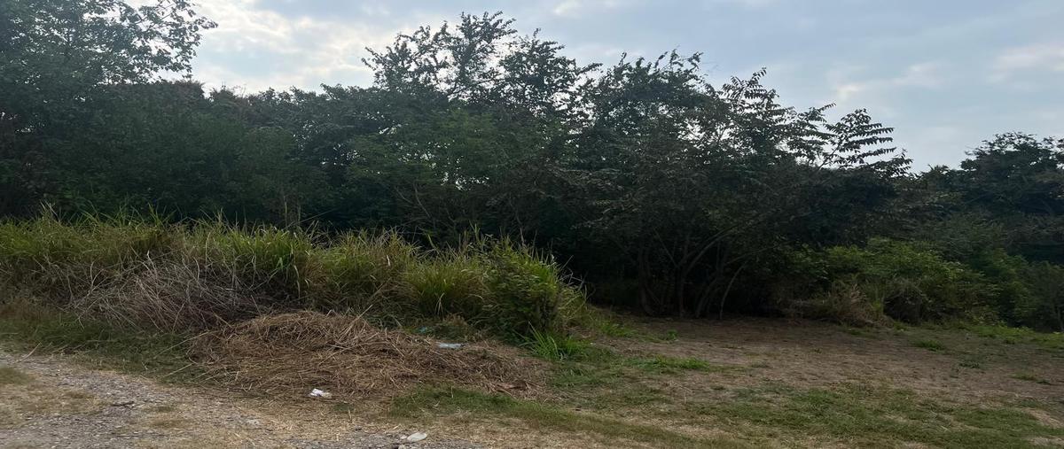 Foto de terreno habitacional en venta en  , bellas artes, pueblo viejo, veracruz de ignacio de la llave, 25250836 No. 04