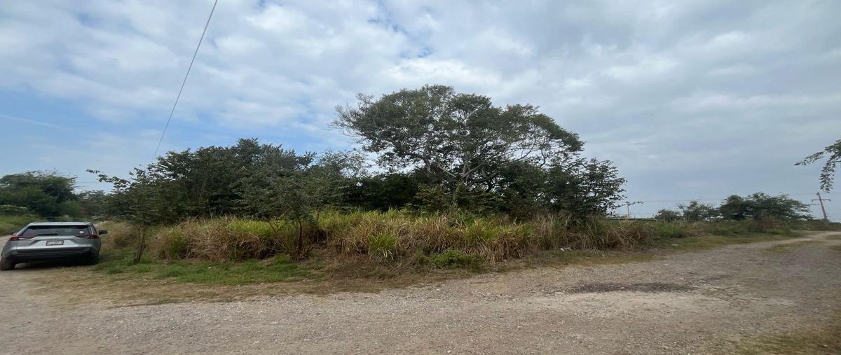 Foto de terreno habitacional en venta en  , bellas artes, pueblo viejo, veracruz de ignacio de la llave, 25250836 No. 05