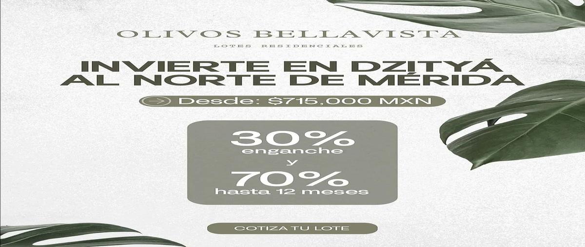 Foto de terreno habitacional en venta en bellavista dzitya , dzitya, mérida, yucatán, 0 No. 04