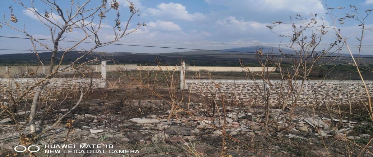 Foto de terreno habitacional en venta en  , bellavista, salvatierra, guanajuato, 0 No. 05