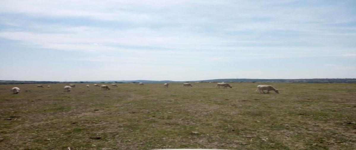 Foto de terreno comercial en venta en  , bellavista, teocaltiche, jalisco, 11233301 No. 03