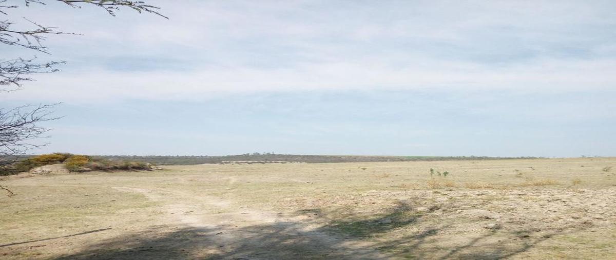 Foto de terreno comercial en venta en  , bellavista, teocaltiche, jalisco, 11233301 No. 04