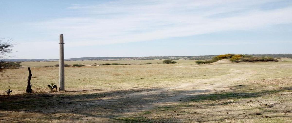 Foto de terreno comercial en venta en  , bellavista, teocaltiche, jalisco, 11233301 No. 05