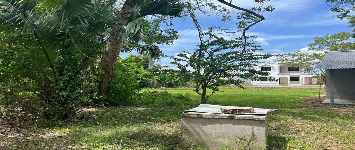 Foto de terreno habitacional en venta en benigno carrillo , quintín arauz, paraíso, tabasco, 0 No. 03