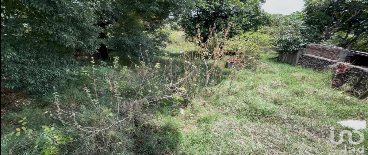 Foto de terreno habitacional en venta en benito juárez 113, ahuatepec, cuernavaca, morelos, 30123913 No. 03