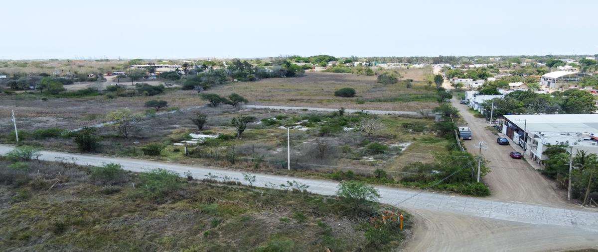 Foto de terreno comercial en benito juarez , alejandro briones, altamira, tamaulipas, 26495655 foto 05 Foto de terreno comercial en venta en benito juarez , alejandro briones, altamira, tamaulipas, 26495655 No. 05