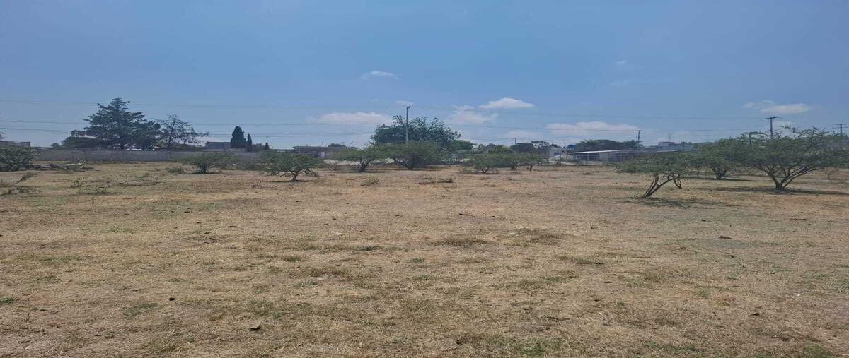 Foto de terreno habitacional en venta en benito juárez , arenillas, puebla, puebla, 29995722 No. 03