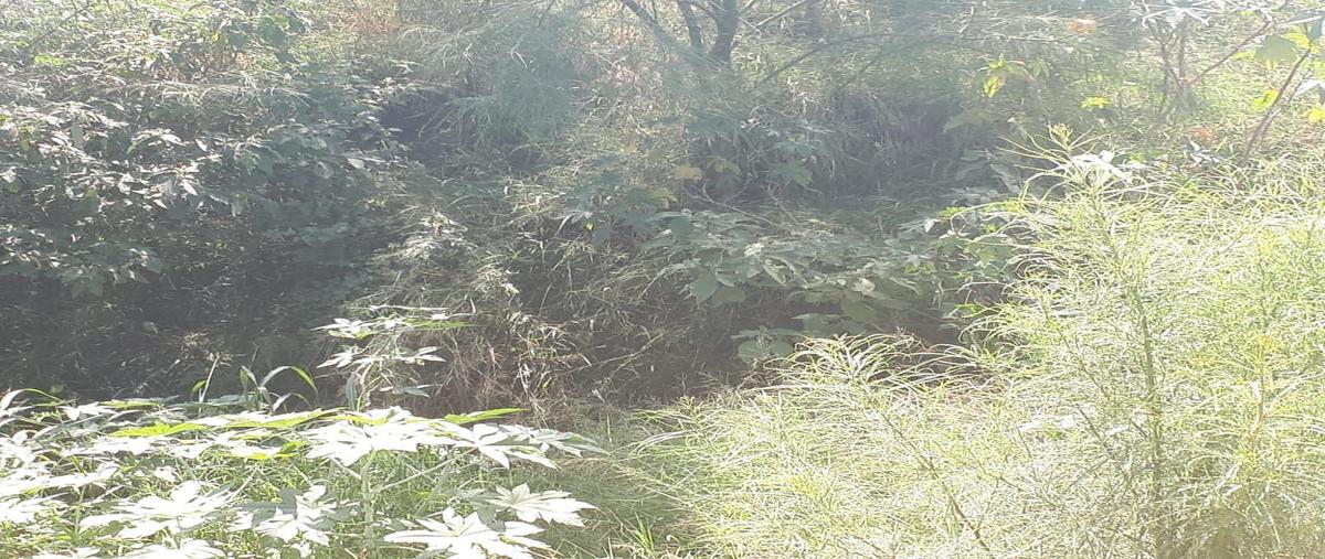 Foto de terreno habitacional en , benito juárez centro, juárez, nuevo león, 30308044 foto 02 Foto de terreno habitacional en venta en , benito juárez centro, juárez, nuevo león, 30308044 No. 02