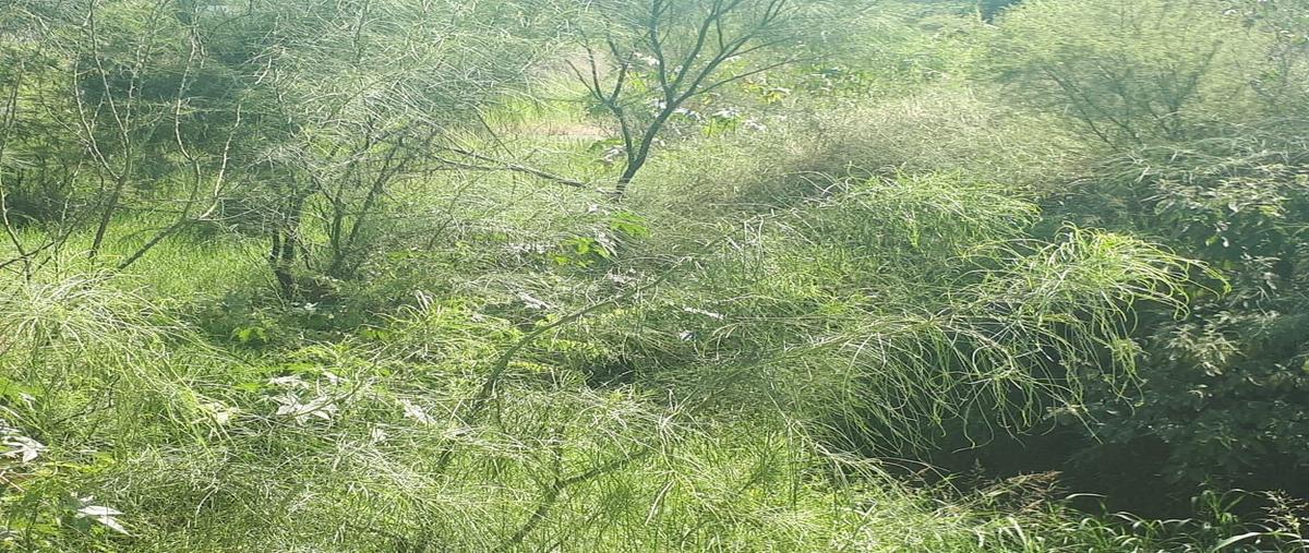 Foto de terreno habitacional en , benito juárez centro, juárez, nuevo león, 30308044 foto 03 Foto de terreno habitacional en venta en , benito juárez centro, juárez, nuevo león, 30308044 No. 03