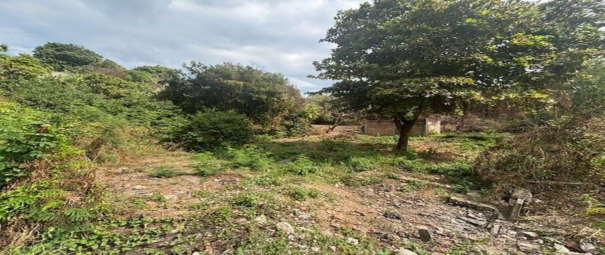 Foto de terreno habitacional en venta en  , benito juárez, chiapa de corzo, chiapas, 24946482 No. 03