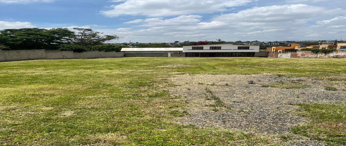 Foto de terreno comercial en renta en benito juárez , granjas lomas de guadalupe, cuautitlán izcalli, méxico, 26382435 No. 05