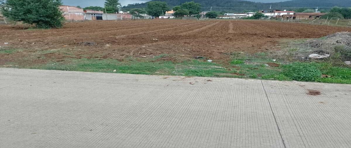 Foto de terreno habitacional en venta en benito juarez , ibarra, pátzcuaro, michoacán de ocampo, 0 No. 05