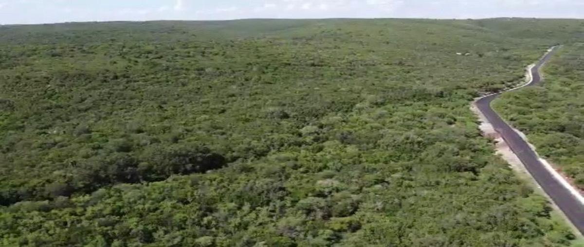 Foto de rancho en venta en  , benito juárez (la coma), san carlos, tamaulipas, 22624816 No. 04