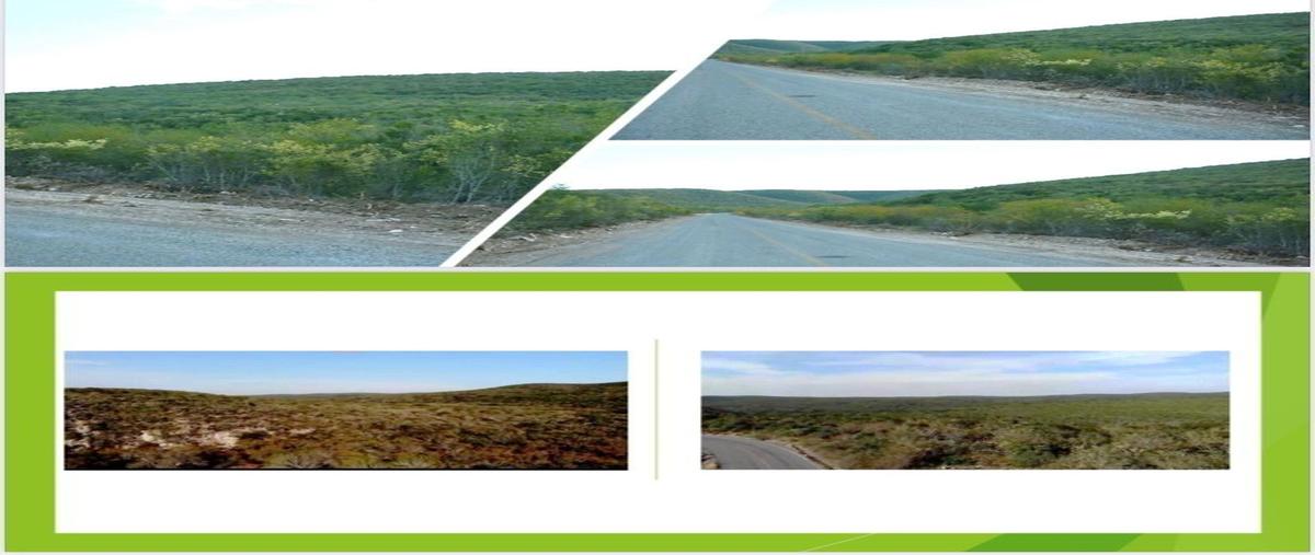 Foto de rancho en venta en  , benito juárez (la coma), san carlos, tamaulipas, 22624816 No. 05