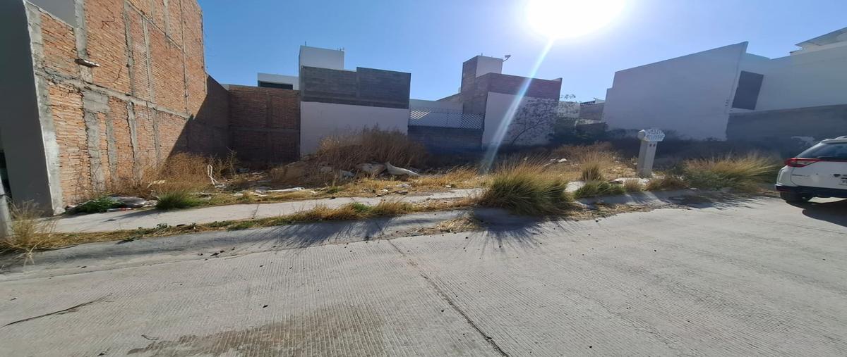 Foto de terreno habitacional en venta en  , benito juárez, mexquitic de carmona, san luis potosí, 0 No. 03