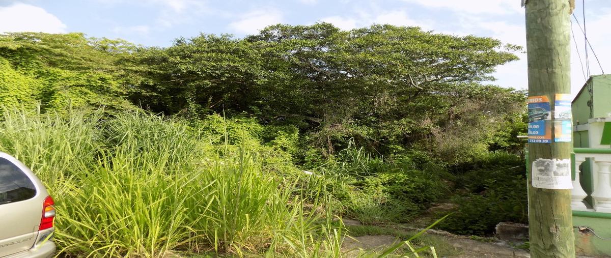 Foto de terreno habitacional en venta en  , benito juárez norte, coatzacoalcos, veracruz de ignacio de la llave, 3502138 No. 02