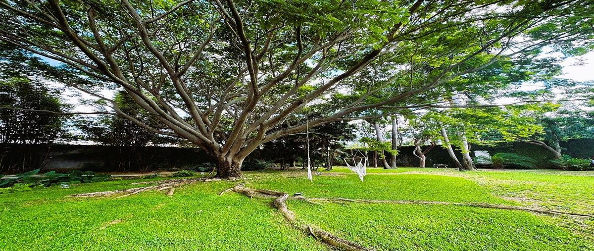 Foto de terreno habitacional en venta en  , benito juárez ote, mérida, yucatán, 0 No. 05