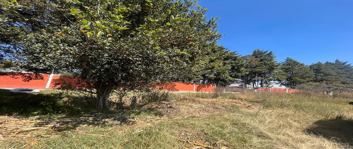 Foto de terreno habitacional en venta en benito juárez , santiaguito tlalcilalcali, almoloya de juárez, méxico, 27440293 No. 05