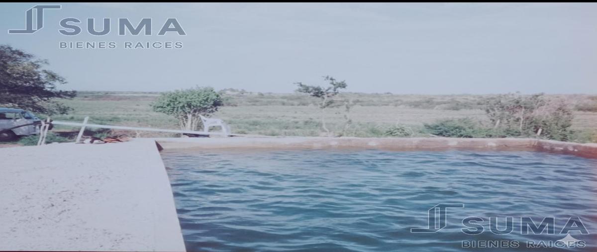 Foto de rancho en venta en  , benito juárez, soto la marina, tamaulipas, 0 No. 03