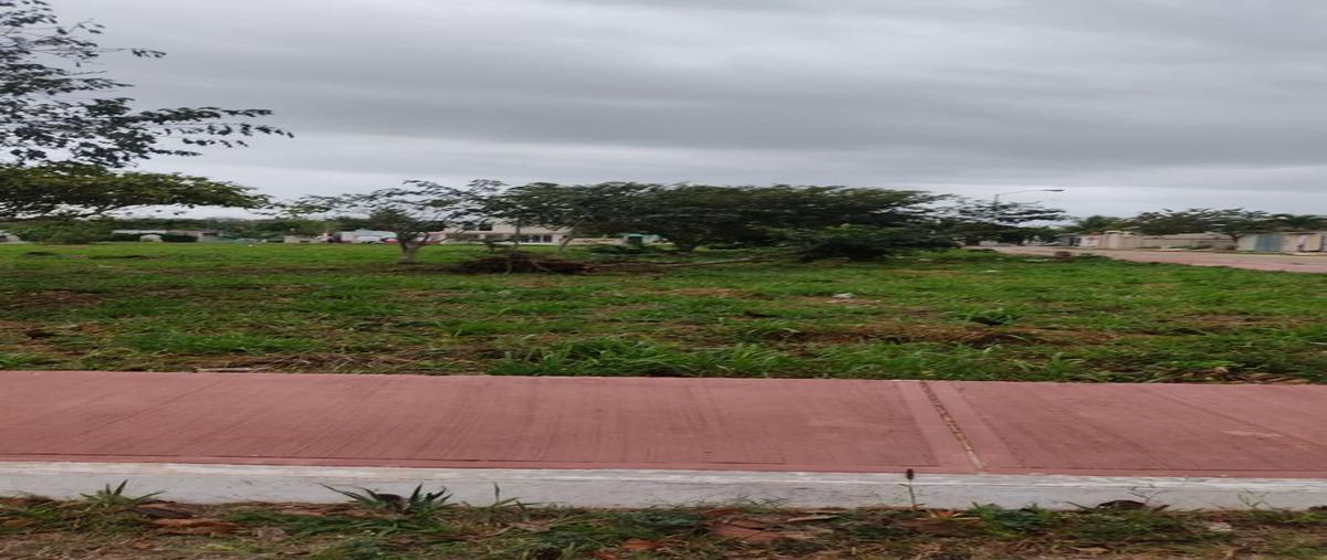 Foto de terreno habitacional en , benito juárez, tizimín, yucatán, 27680963 foto 04 Foto de terreno habitacional en venta en , benito juárez, tizimín, yucatán, 27680963 No. 04
