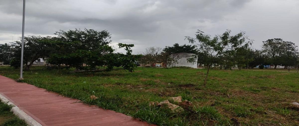Foto de terreno habitacional en , benito juárez, tizimín, yucatán, 27680963 foto 05 Foto de terreno habitacional en venta en , benito juárez, tizimín, yucatán, 27680963 No. 05