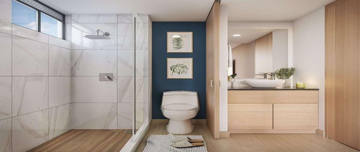 Foto de departamento en venta en benjamín franklin , escandón i sección, miguel hidalgo, df / cdmx, 0 No. 05