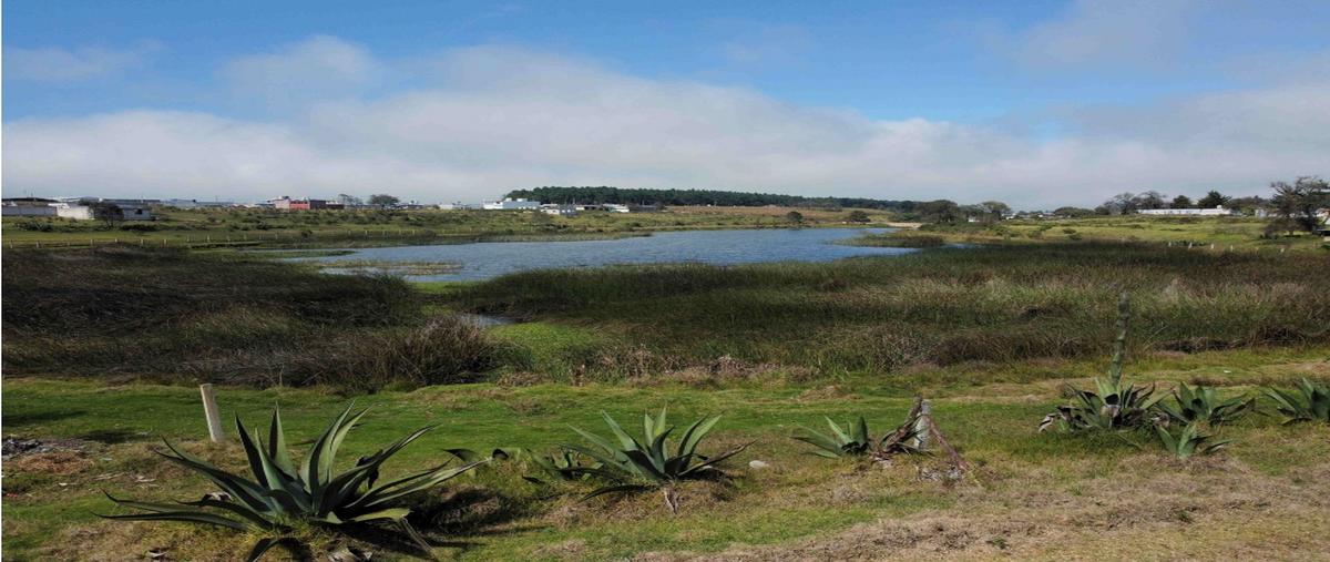 Foto de terreno habitacional en venta en  , beristain, ahuazotepec, puebla, 0 No. 05