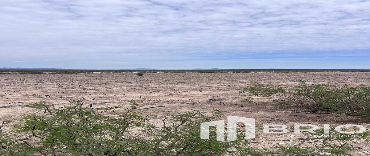 Foto de terreno habitacional en venta en  , bermejillo, mapimí, durango, 30919502 No. 04
