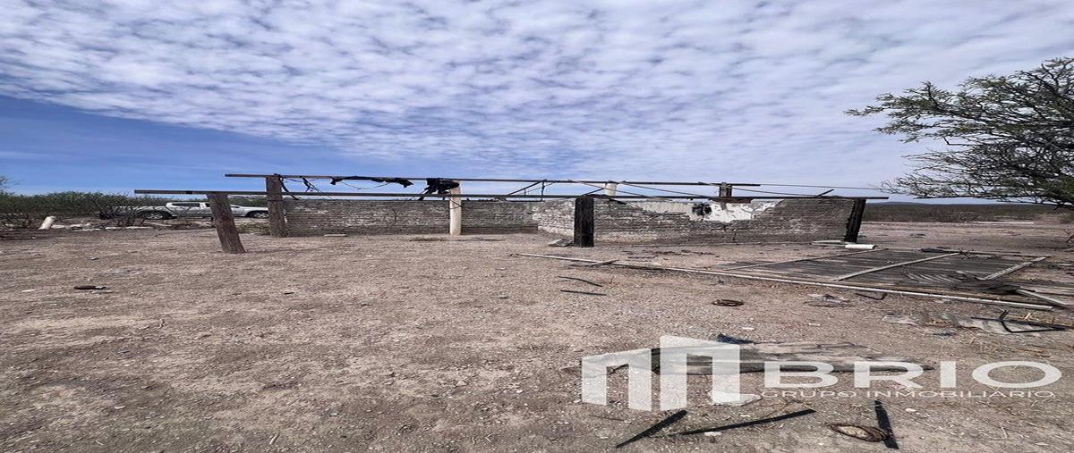 Foto de terreno habitacional en venta en  , bermejillo, mapimí, durango, 30919502 No. 13