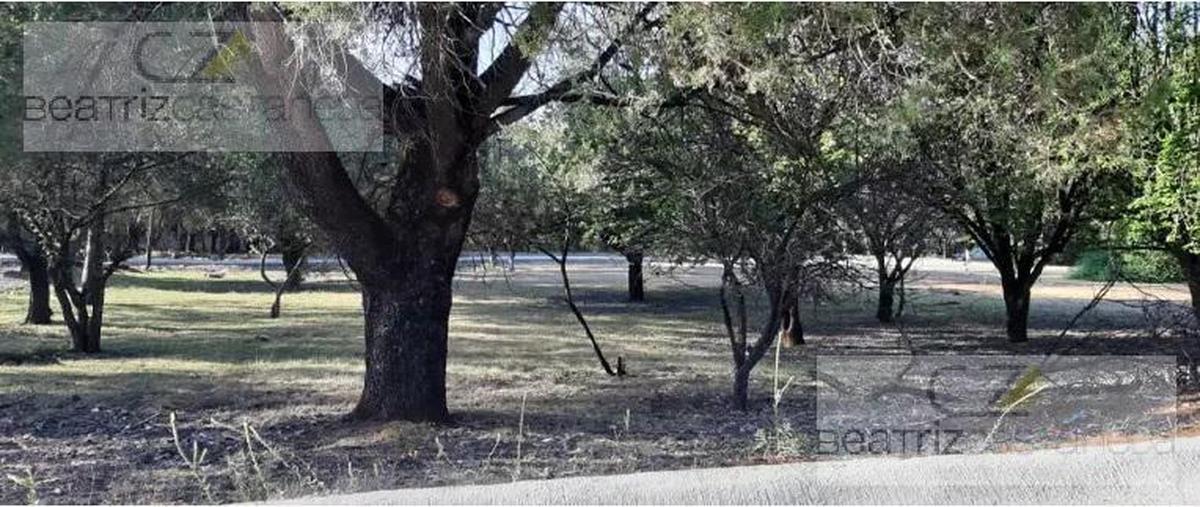 Foto de terreno habitacional en venta en  , bermúdez, huasca de ocampo, hidalgo, 27816424 No. 03