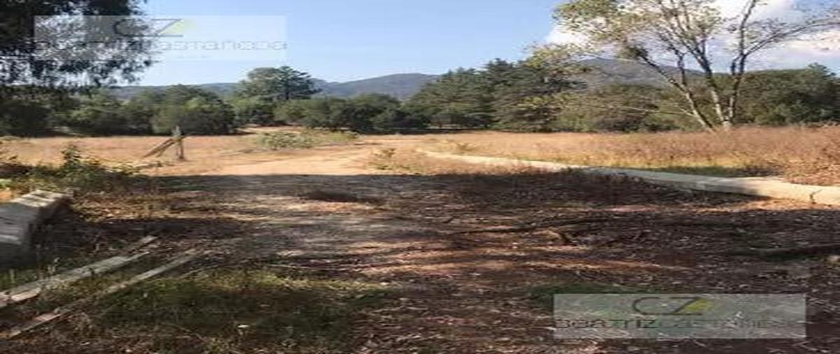 Foto de terreno habitacional en venta en  , bermúdez, huasca de ocampo, hidalgo, 27816424 No. 04