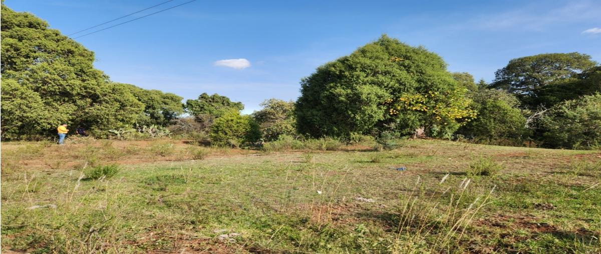 Foto de terreno habitacional en venta en  , bermúdez, huasca de ocampo, hidalgo, 27869127 No. 03