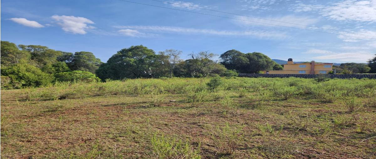 Foto de terreno habitacional en venta en  , bermúdez, huasca de ocampo, hidalgo, 27869127 No. 04
