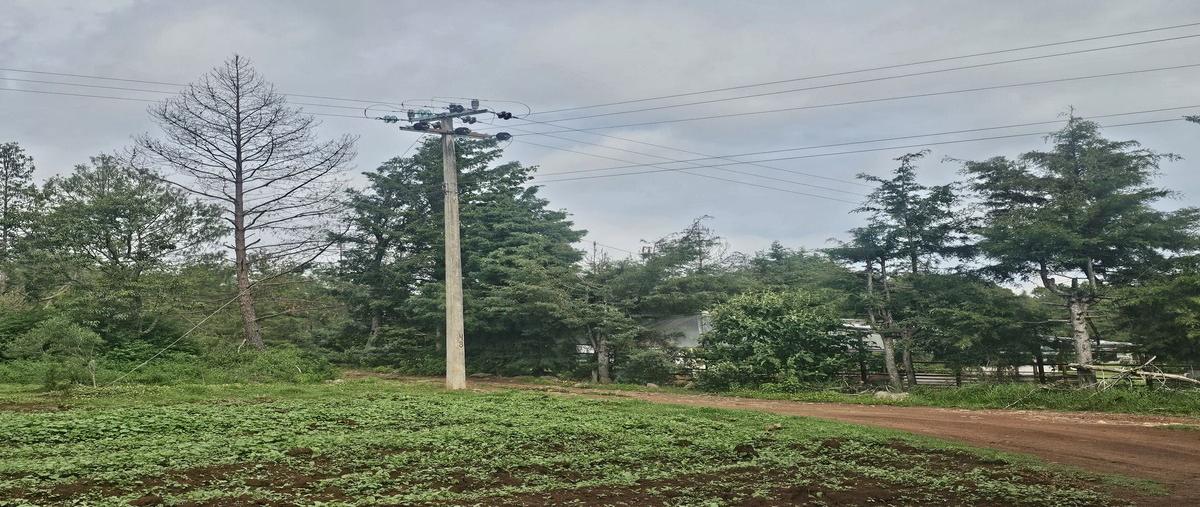 Foto de terreno habitacional en , bermúdez, huasca de ocampo, hidalgo, 28319072 foto 04 Foto de terreno habitacional en venta en , bermúdez, huasca de ocampo, hidalgo, 28319072 No. 04