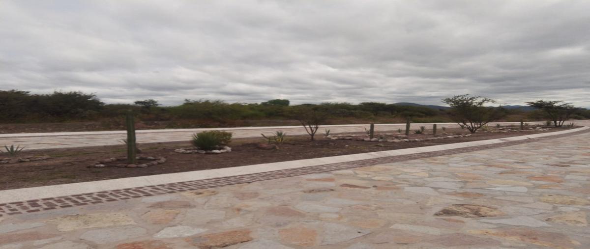Foto de terreno habitacional en , bernal, ezequiel montes, querétaro, 27776235 foto 05 Foto de terreno habitacional en venta en , bernal, ezequiel montes, querétaro, 27776235 No. 05