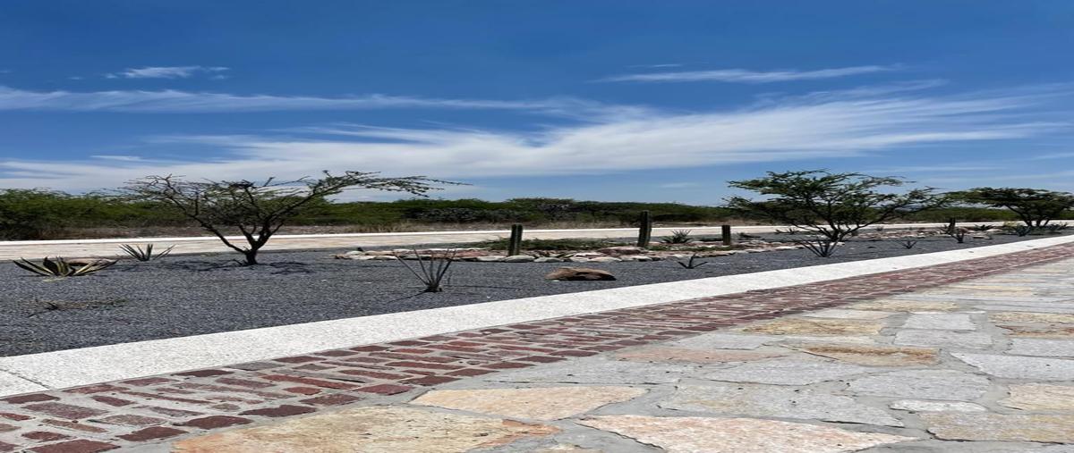 Foto de terreno habitacional en venta en  , bernal, ezequiel montes, querétaro, 28092641 No. 05