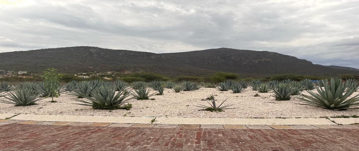 Foto de terreno habitacional en , bernal, ezequiel montes, querétaro, 29863584 foto 03 Foto de terreno habitacional en venta en , bernal, ezequiel montes, querétaro, 29863584 No. 03