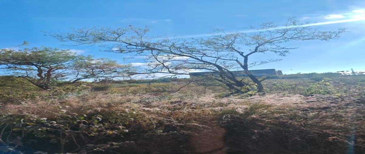 Foto de terreno comercial en venta en  , bernal, ezequiel montes, querétaro, 0 No. 04