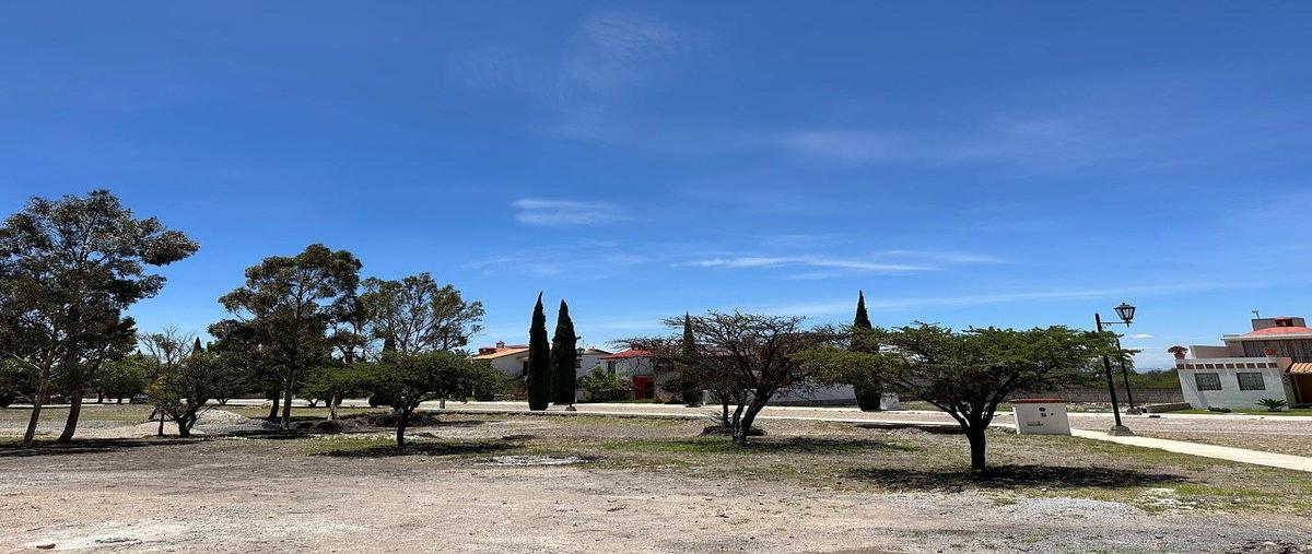 Foto de terreno habitacional en venta en  , bernal, ezequiel montes, querétaro, 0 No. 03