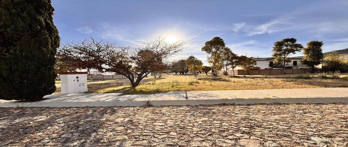 Foto de terreno habitacional en venta en  , bernal, ezequiel montes, querétaro, 0 No. 04
