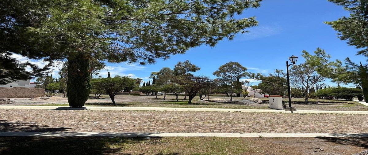 Foto de terreno habitacional en venta en  , bernal, ezequiel montes, querétaro, 0 No. 05