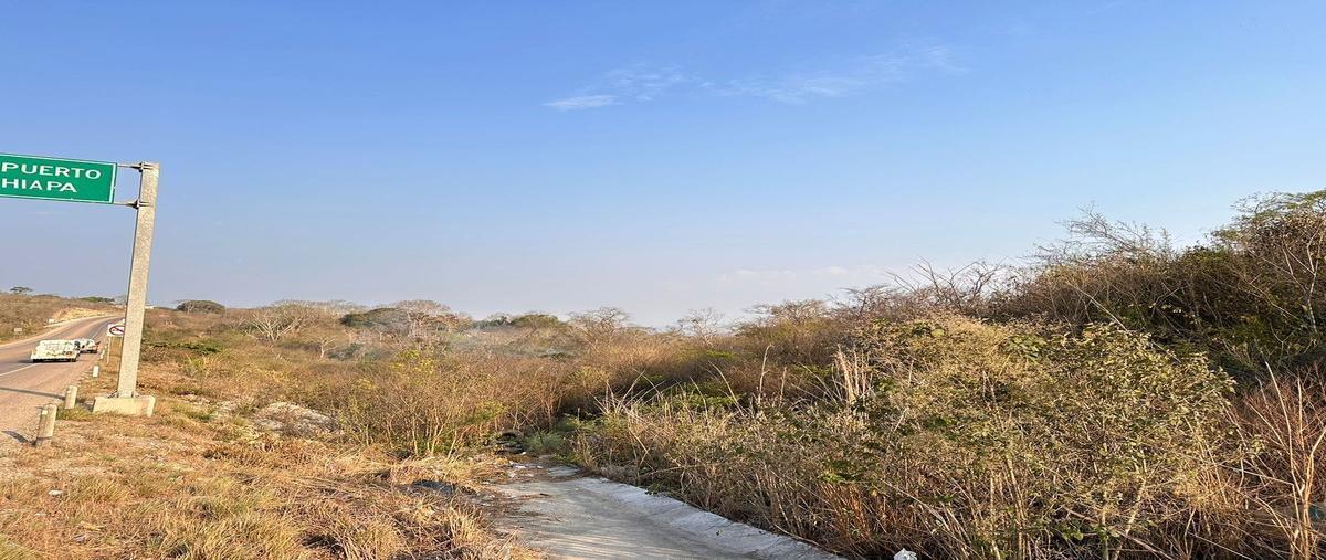 Foto de terreno habitacional en venta en  , berriozabal centro, berriozábal, chiapas, 26331495 No. 04