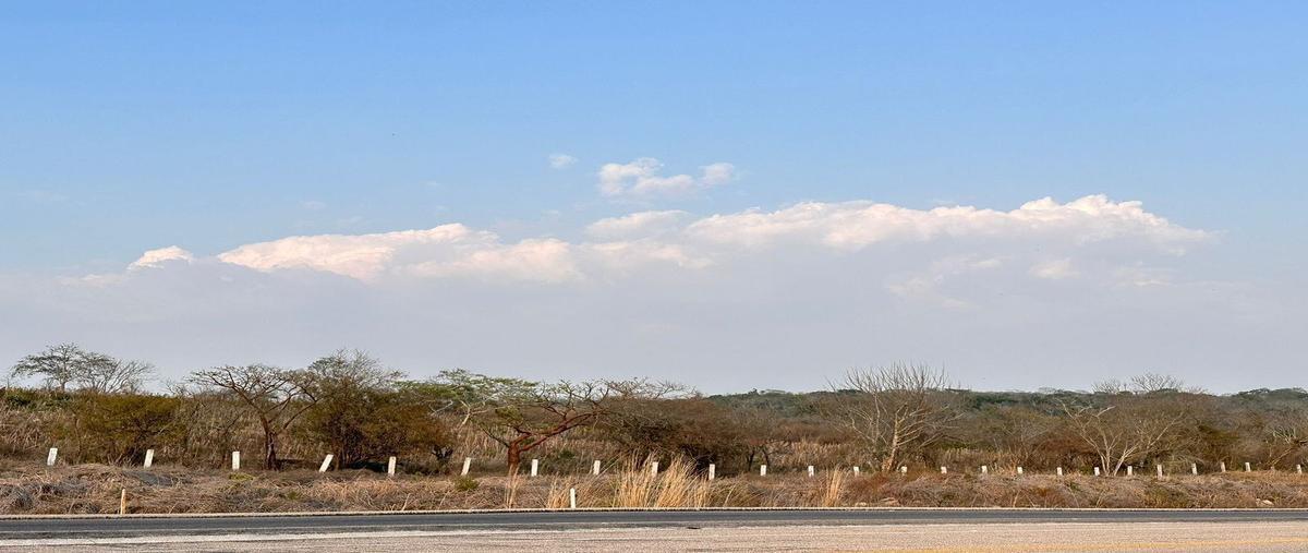 Foto de terreno habitacional en venta en  , berriozabal centro, berriozábal, chiapas, 26331495 No. 05